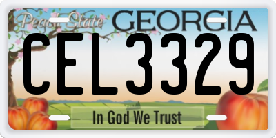 GA license plate CEL3329