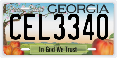 GA license plate CEL3340