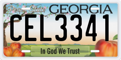 GA license plate CEL3341