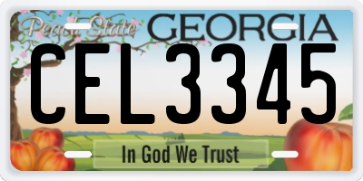 GA license plate CEL3345