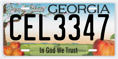 GA license plate CEL3347