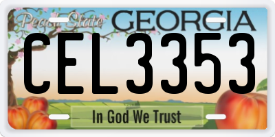 GA license plate CEL3353