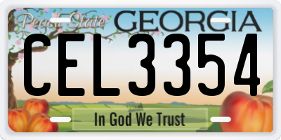 GA license plate CEL3354