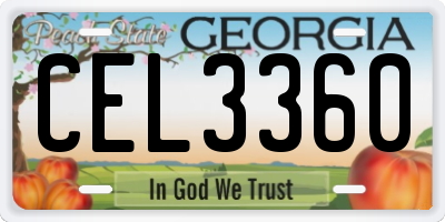 GA license plate CEL3360