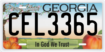 GA license plate CEL3365