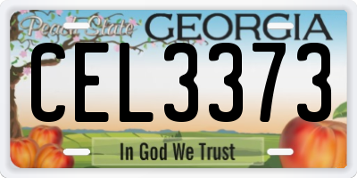 GA license plate CEL3373