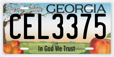 GA license plate CEL3375