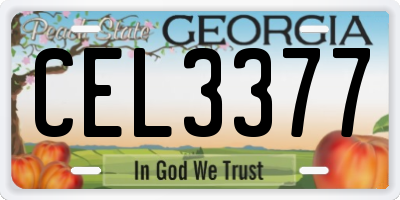 GA license plate CEL3377