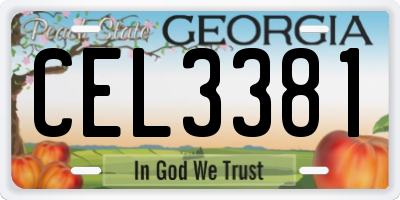 GA license plate CEL3381