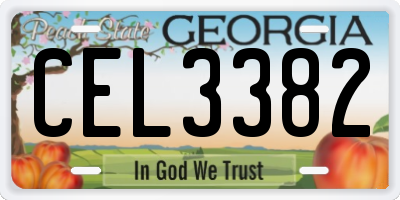 GA license plate CEL3382