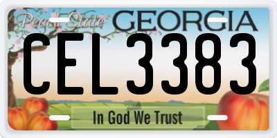 GA license plate CEL3383