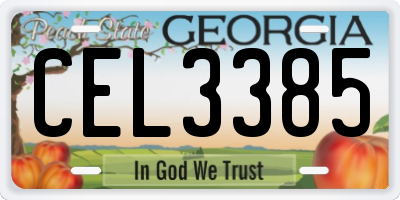 GA license plate CEL3385