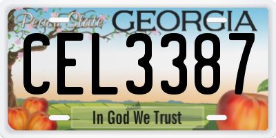 GA license plate CEL3387