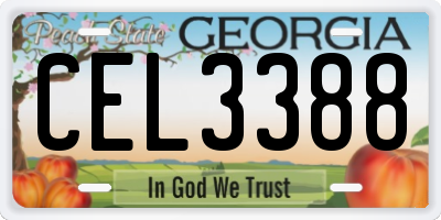 GA license plate CEL3388