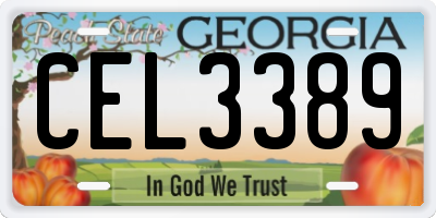 GA license plate CEL3389