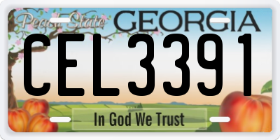 GA license plate CEL3391