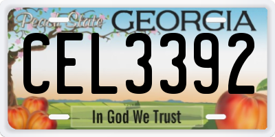 GA license plate CEL3392