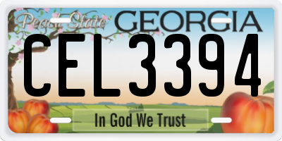 GA license plate CEL3394