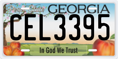 GA license plate CEL3395
