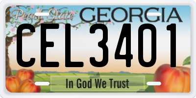 GA license plate CEL3401