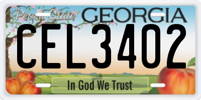 GA license plate CEL3402