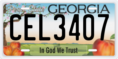 GA license plate CEL3407