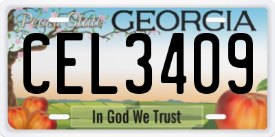GA license plate CEL3409