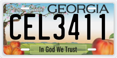 GA license plate CEL3411