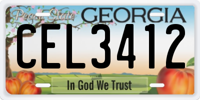 GA license plate CEL3412