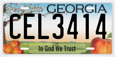 GA license plate CEL3414