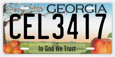 GA license plate CEL3417