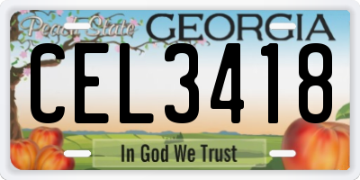 GA license plate CEL3418