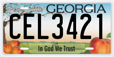 GA license plate CEL3421