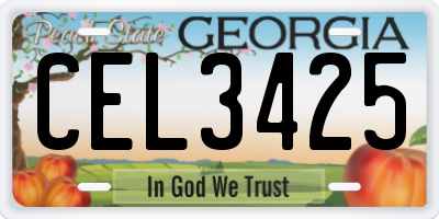 GA license plate CEL3425