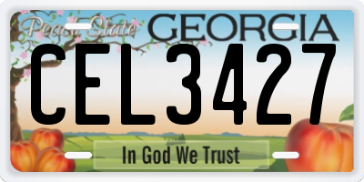 GA license plate CEL3427