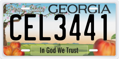 GA license plate CEL3441