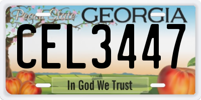 GA license plate CEL3447