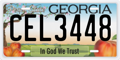 GA license plate CEL3448