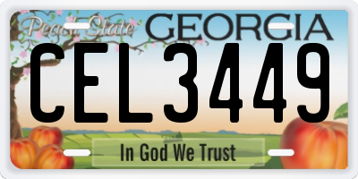 GA license plate CEL3449