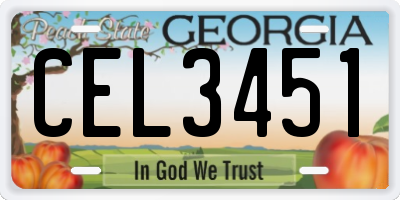 GA license plate CEL3451