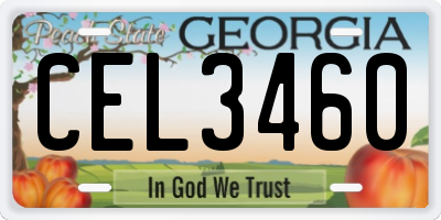 GA license plate CEL3460