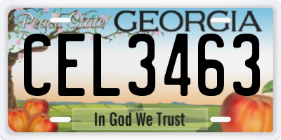 GA license plate CEL3463