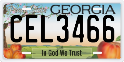 GA license plate CEL3466