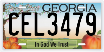 GA license plate CEL3479