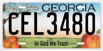 GA license plate CEL3480