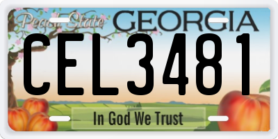 GA license plate CEL3481