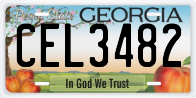 GA license plate CEL3482