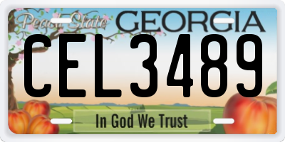 GA license plate CEL3489