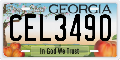 GA license plate CEL3490