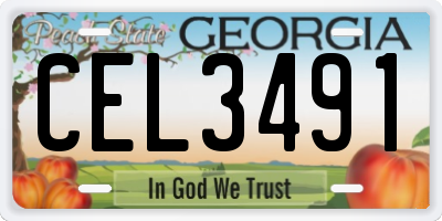 GA license plate CEL3491